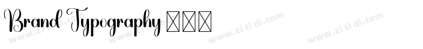 Brand Typography字体转换 Brand Typography字体转换